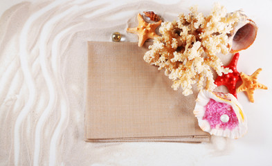 Collection of seashells with fabric on sand background