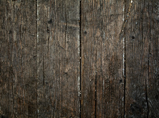 wood old panels