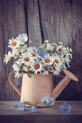 Watering can with summer bouquet of daisies flowers on wooden ba