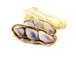 peanut on white background 