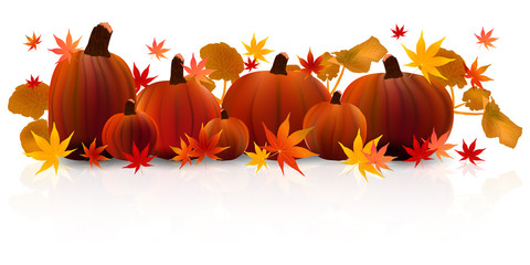 ハロウィン　かぼちゃ　もみじ