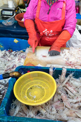 Tintenfische werden filitiert auf dem Jagalchi Fischmarkt in Korea