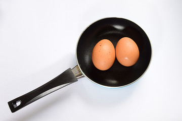 Fresh eggs