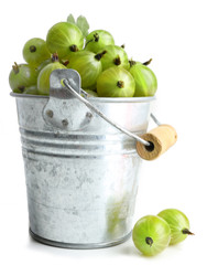 Green gooseberry in pail isolated on white