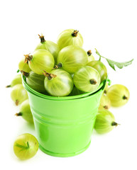 Green gooseberry in pail isolated on white