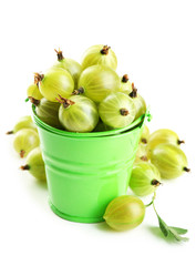 Green gooseberry in pail isolated on white