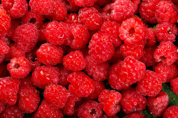 Sweet raspberries background
