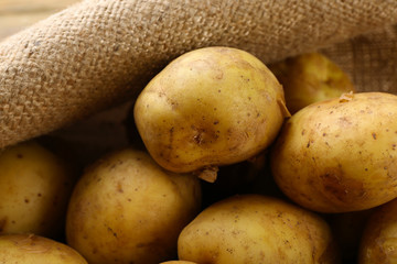Young potatoes on sackcloth close up