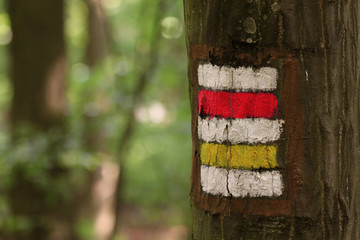 Tourist sign on a tree in the woods