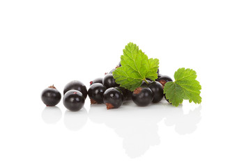 Black currant.