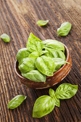 Basil herbs.