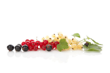 Red, white and black currant.
