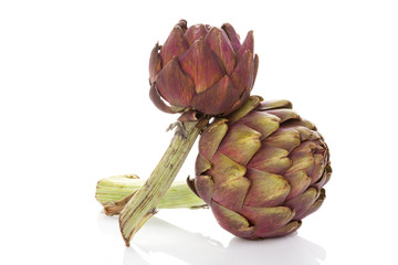 Obraz premium Fresh artichoke isolated.