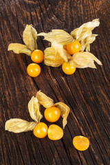 Physalis.