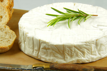 camembert 23072015