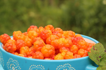 cloudberries