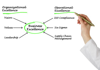 Obraz premium Diagram of business excellence