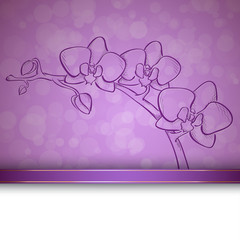 Sketch  orchid background