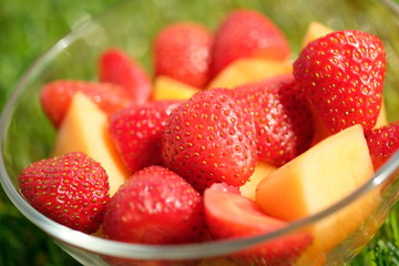Erdbeeren- und Melonenschale