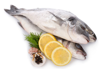 Seafood collection isolated on white