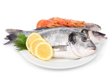 Seafood collection isolated on white