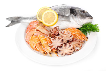 Fresh dorado fish and other seafood isolated on white