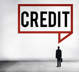 Fototapeta premium Credit Accounting Banking Financial Business Concept