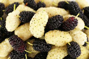 Fresh mulberry, closeup