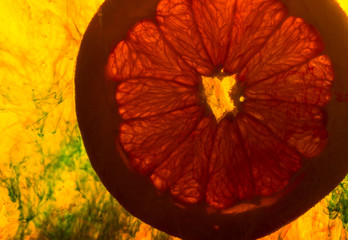 close up of a grapefruit slice in water