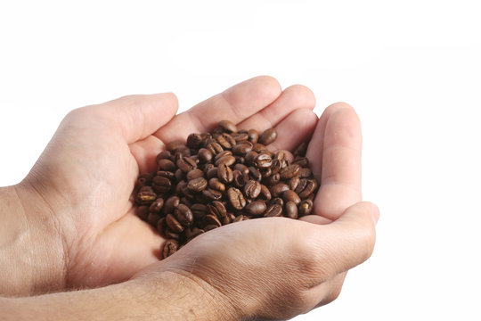 coffee beans are kept in the hands Isolated on white