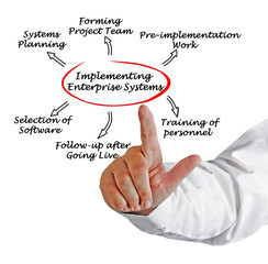 Implementing  Enterprise System