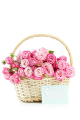 beautiful pink roses in basket on white background