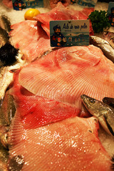 Aile de raie pelé © Pictures news