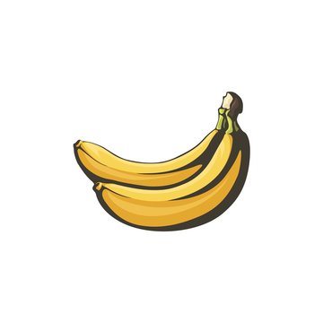 Bananas retro illustration isolate on white background.