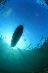 Board for Standup paddle or surfing from below