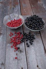 currants on table 