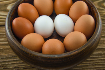 chicken egg