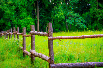 Fototapeta premium Wooden fence made of logs