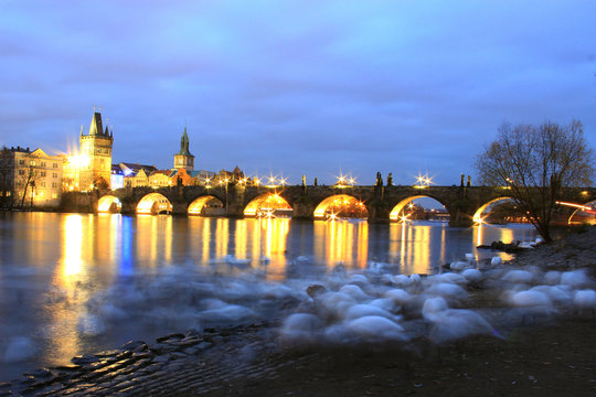 Swans night in Prague