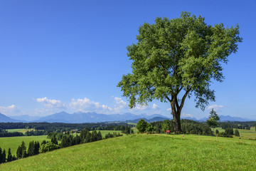 Naturlandschaft im Füssener Land