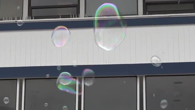 Large soap bubble fly in the air against office building background 