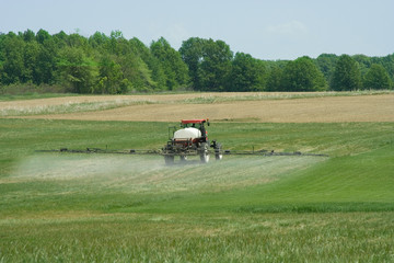Spraying Grass Killer on Crops – A farmer sprays grass killer on his field, in preparation of...