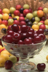 Sour cherry and cherry plums