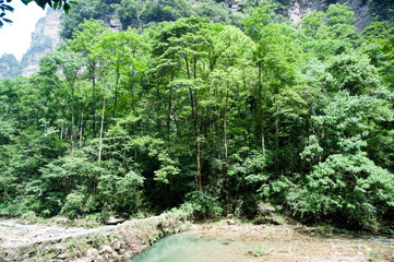 Mysterious mountains Zhangjiajie, HUnan Province in China.