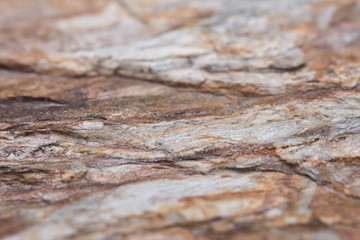 Stone texture