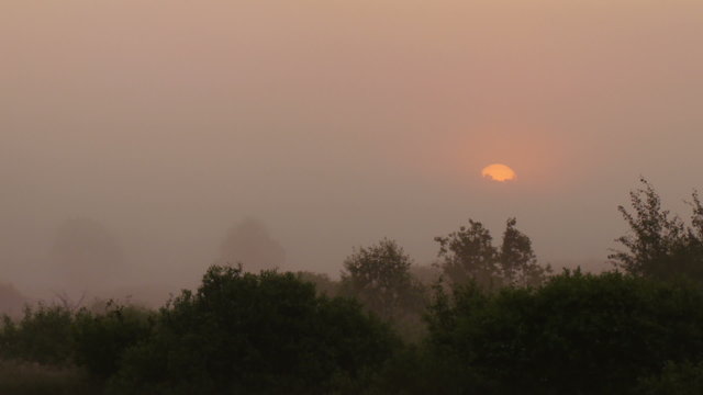 Time lapse shot of the surrounding forest in the morning moving fog and with the sunrise in the horizon
