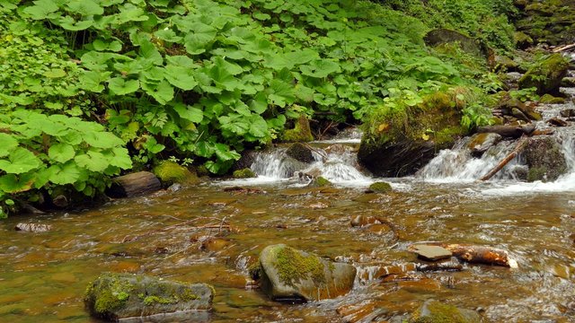 4k,
Waterfall in the mountains near the village Pylypets, Carpathians