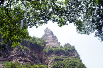 Mysterious mountains Zhangjiajie, HUnan Province in China.