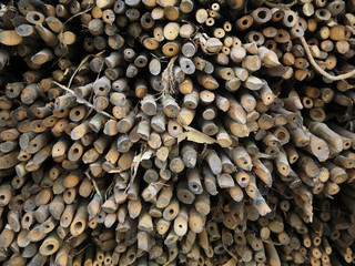 Stack of bamboo cross slice for sale