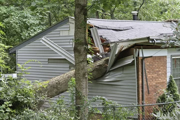 Acrylic prints Storm Small House Crushed By a Large Oak Tree